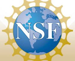 NSF Logo
